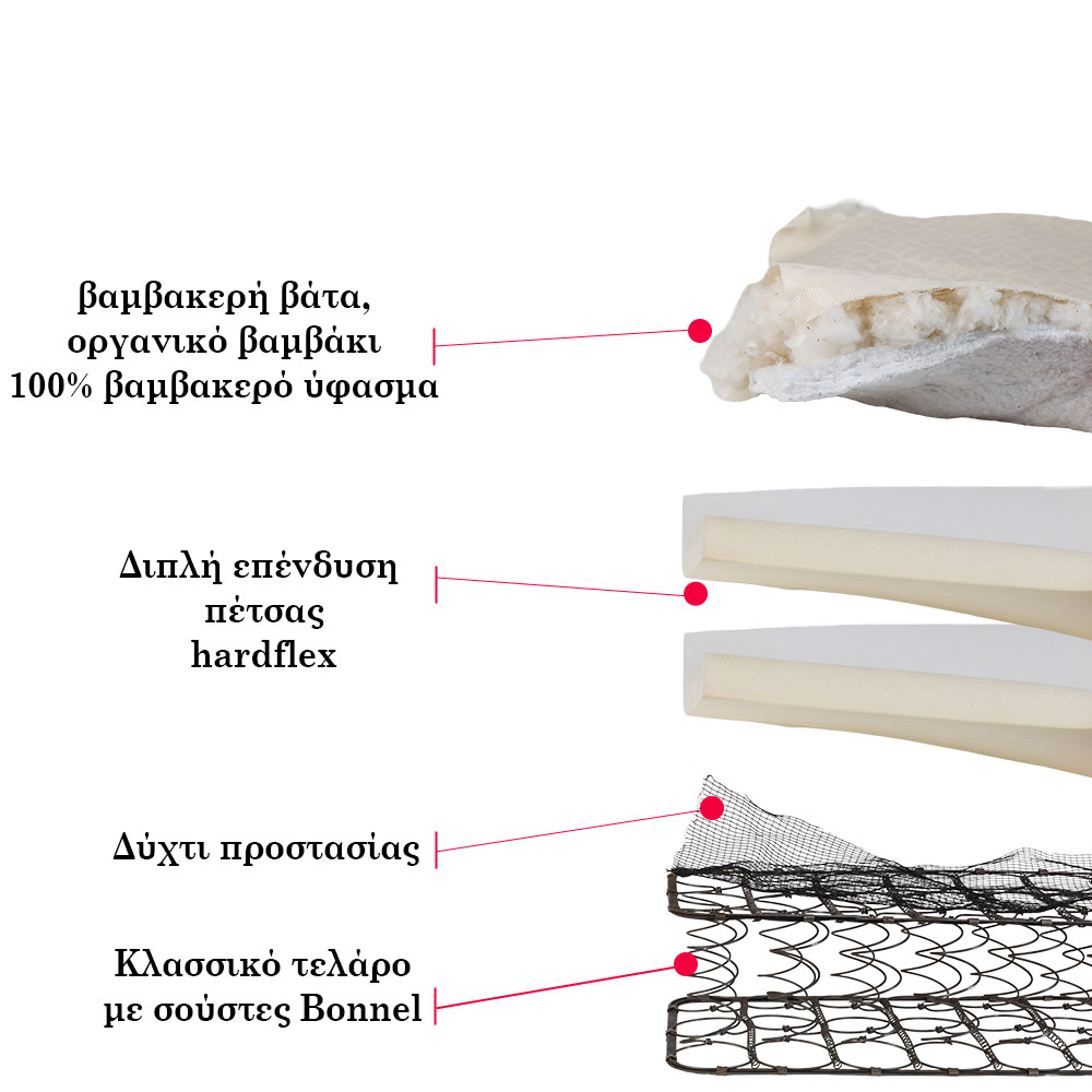 Natural Classic - Image 2